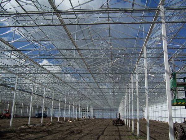 玻璃溫室大棚