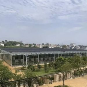 國(guó)泰隆安裝工程之八步區(qū)扶貧生態(tài)移民果蔬展示園建設(shè)如火如荼