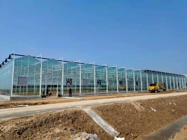玻璃溫室
